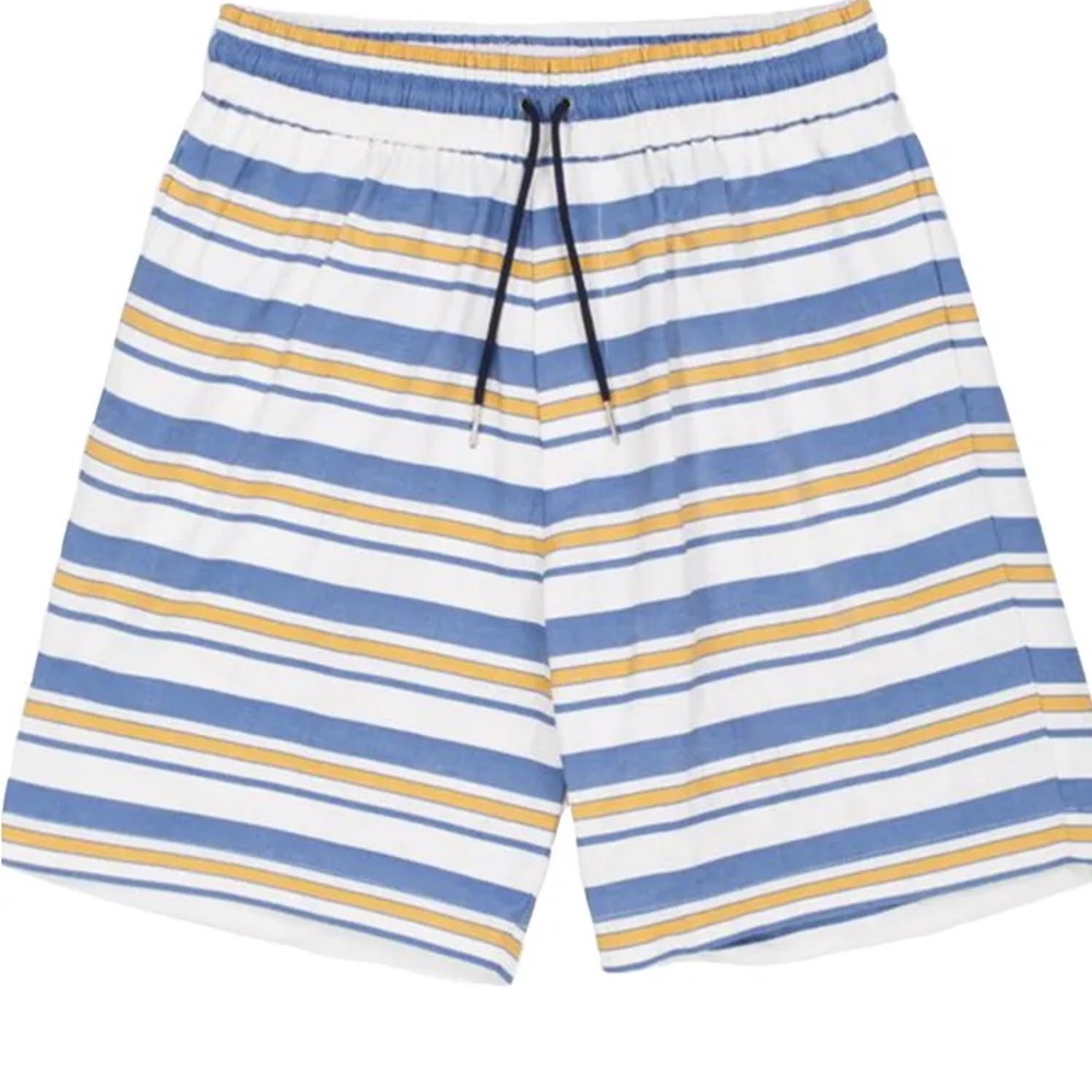Aime Leon Dore Blue and Yellow Striped Swim Trunks